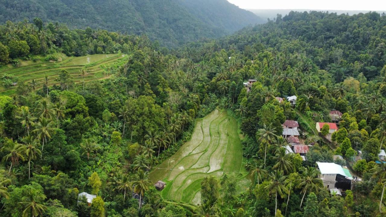 Ananda Homestay Lemukih Singaraja Exterior foto
