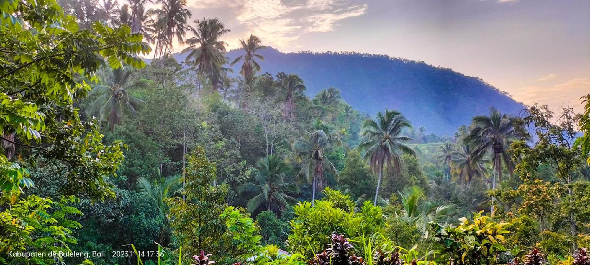 Ananda Homestay Lemukih Singaraja Exterior foto